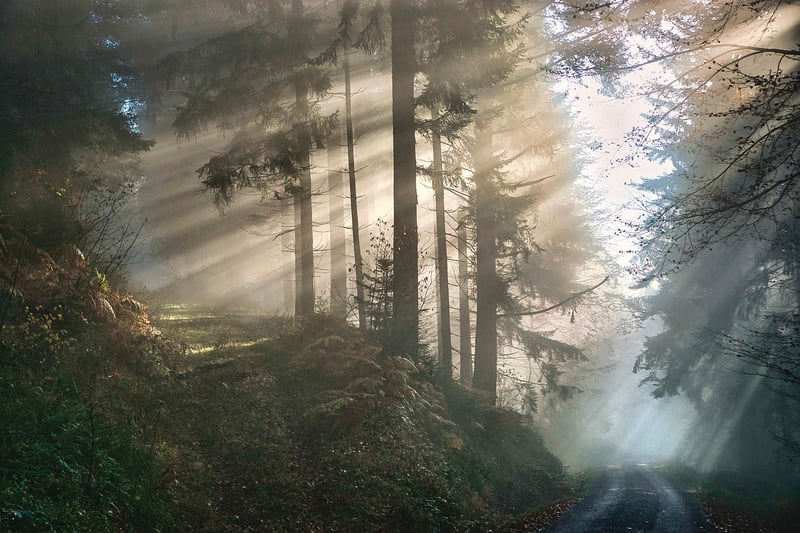 Mystical Powers